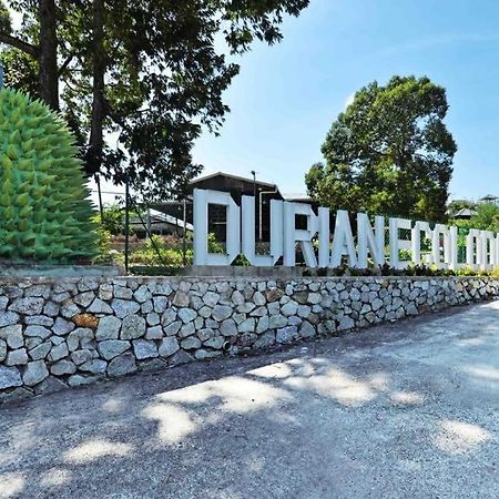 Durian Ecolodge Тампин Экстерьер фото
