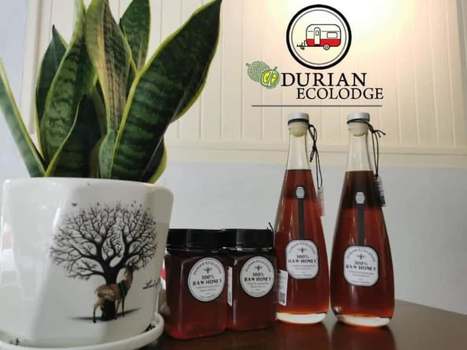 Durian Ecolodge Тампин Экстерьер фото