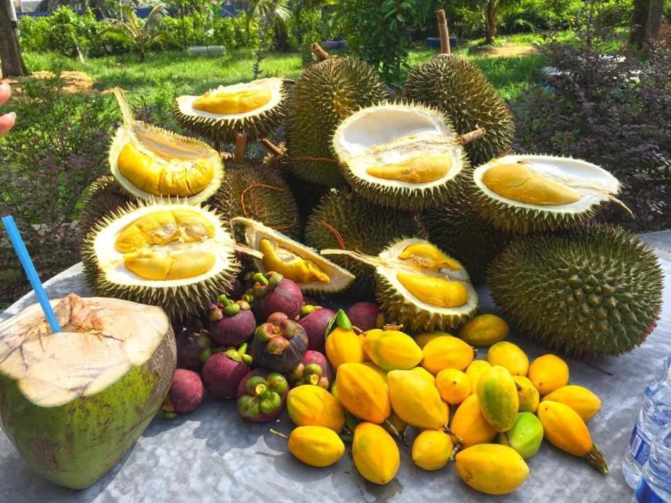 Durian Ecolodge Тампин Экстерьер фото